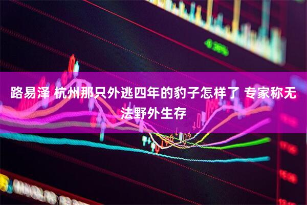 路易泽 杭州那只外逃四年的豹子怎样了 专家称无法野外生存