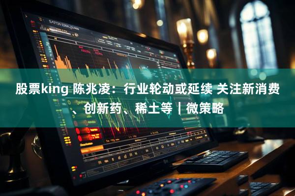 股票king 陈兆凌:行业轮动或延续 关注新消费、创新药、稀土等|微策略