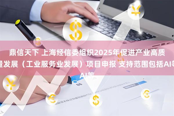 鼎信天下 上海经信委组织2025年促进产业高质量发展（工业服务业发展）项目申报 支持范围包括AI等