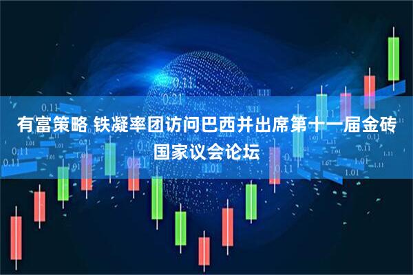 有富策略 铁凝率团访问巴西并出席第十一届金砖国家议会论坛