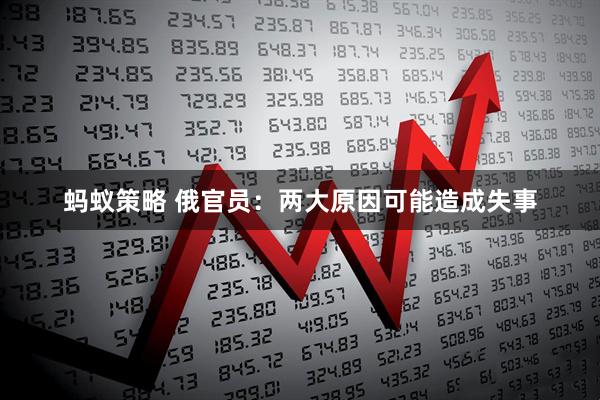 蚂蚁策略 俄官员：两大原因可能造成失事