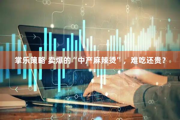 掌乐策略 卖爆的“中产麻辣烫”，难吃还贵？