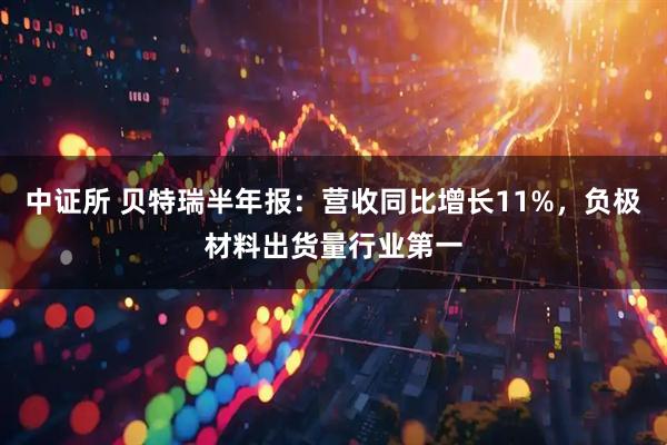 中证所 贝特瑞半年报：营收同比增长11%，负极材料出货量行业第一