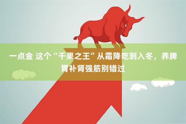一点金 这个“千果之王”从霜降吃到入冬,养脾胃补肾强筋别错过